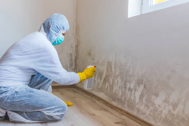 Bathroom Mold Removal assessment in Garrett bathroom